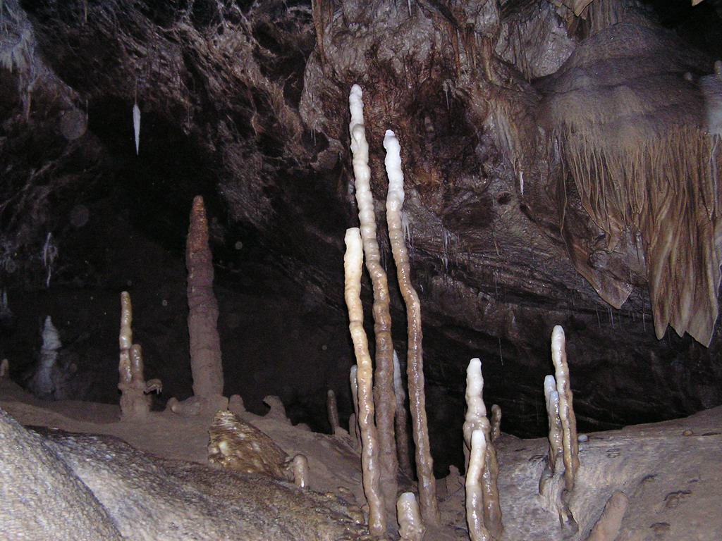 Stalagmity